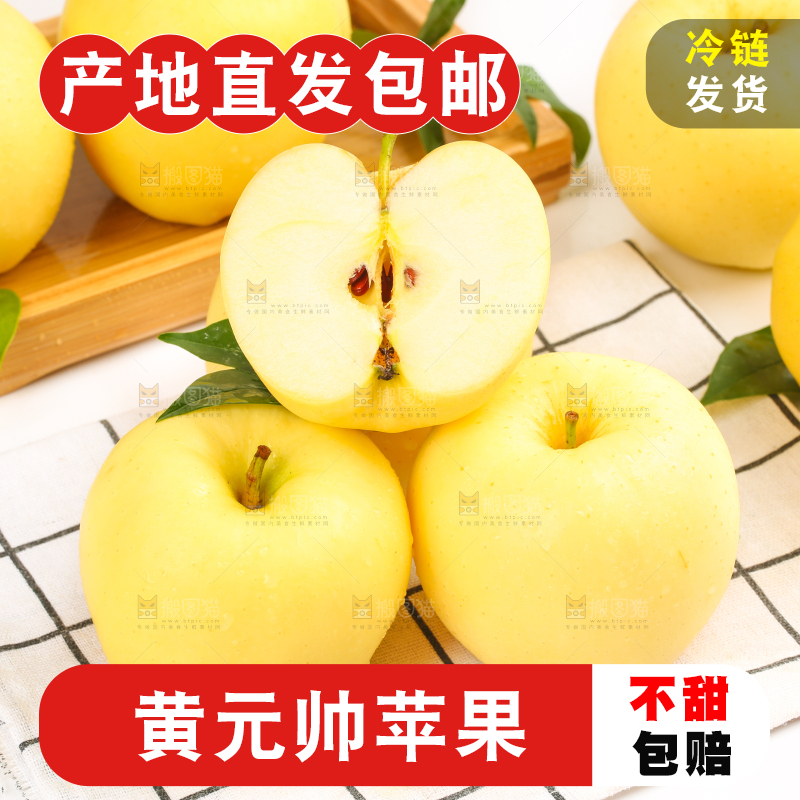 白格子底上的烟台黄金帅