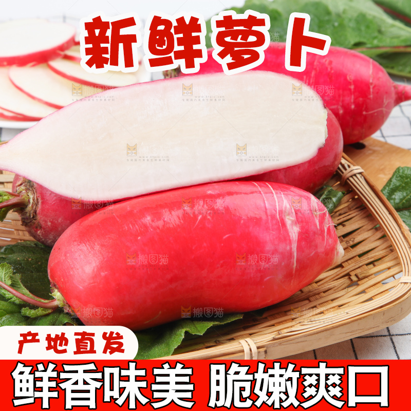格子底上的红萝卜