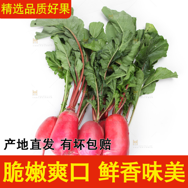 白底上的红萝卜
