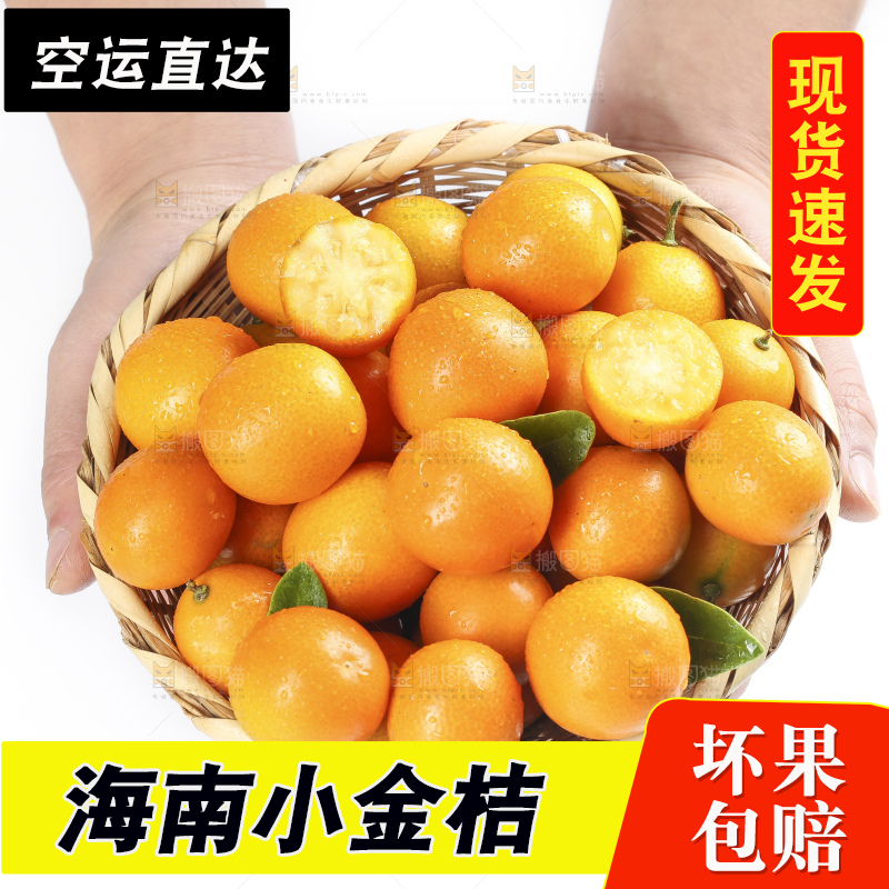 手里捧着融安滑皮金桔
