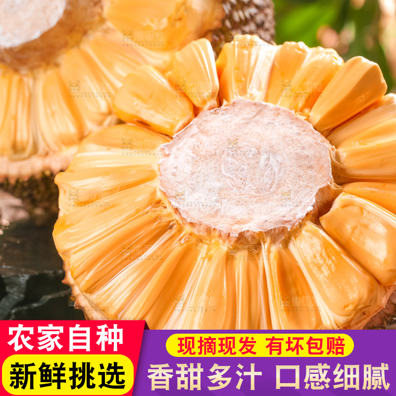 浅底上的越南红心菠萝蜜