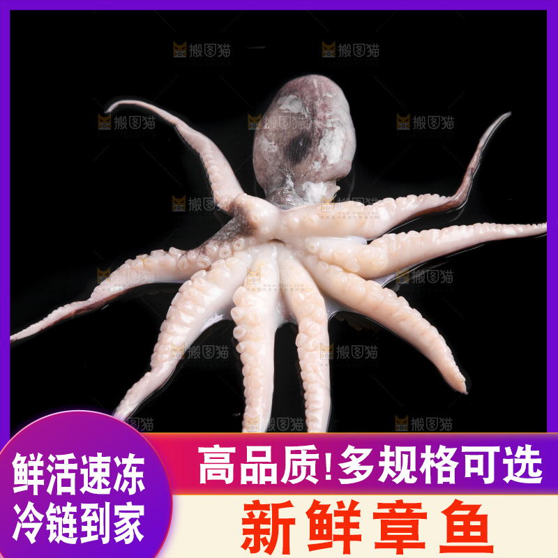 黑底上的八爪鱼