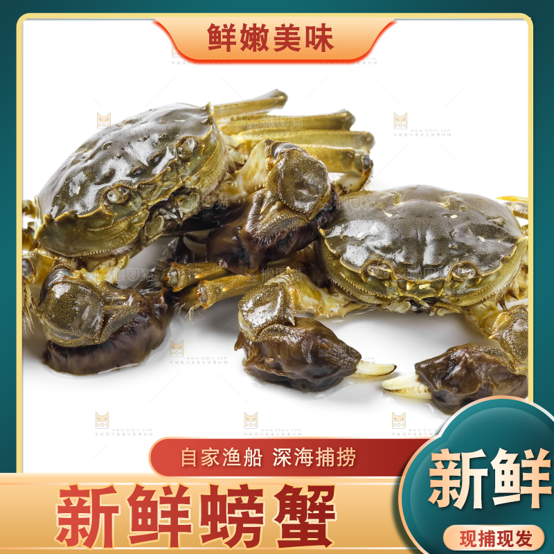 浅底上的鲜活螃蟹