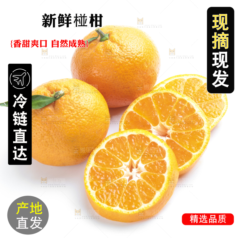 白底上放着柑橘