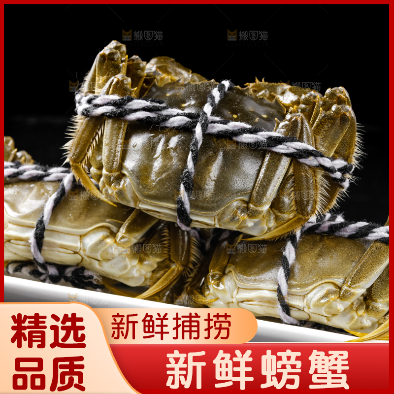 黑底上的鲜活螃蟹
