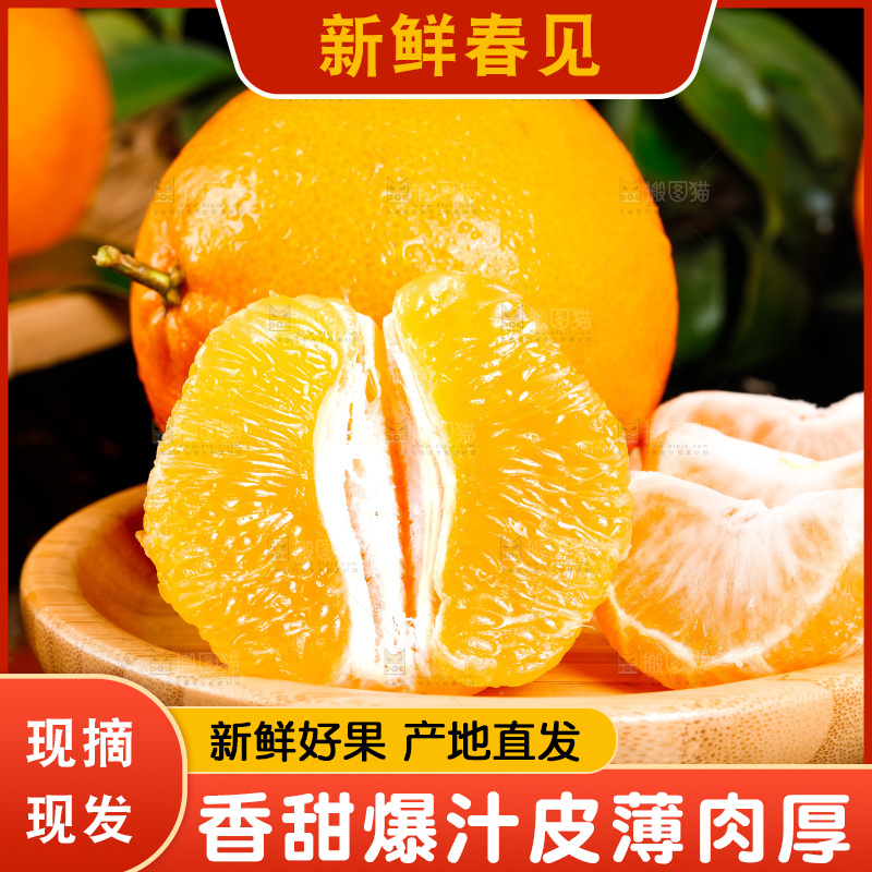 深底上的春见柑桔