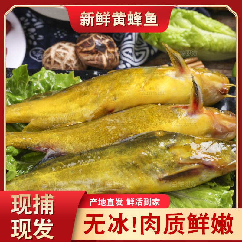 盘子里装着黄颡鱼
