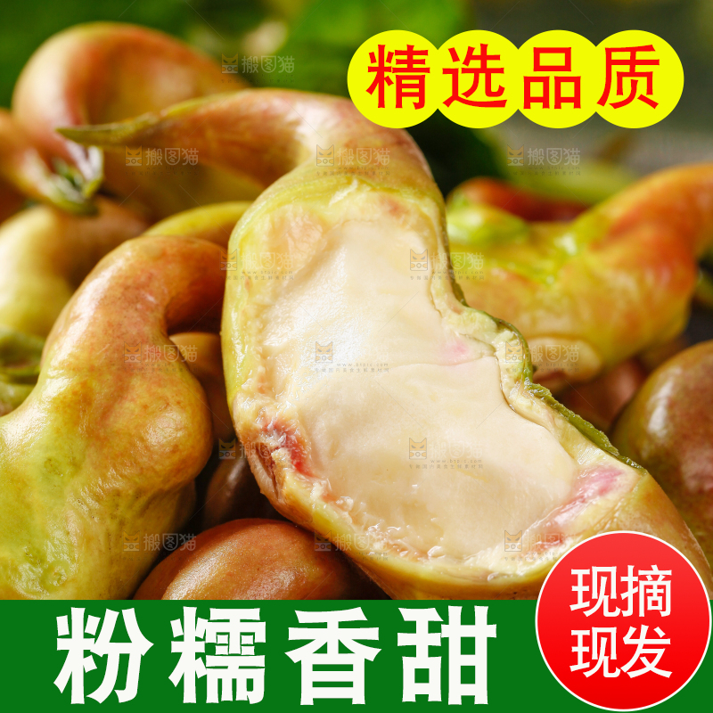 篮子里装着菱角