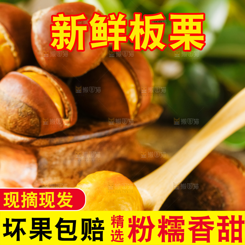 深底上的迁西板栗
