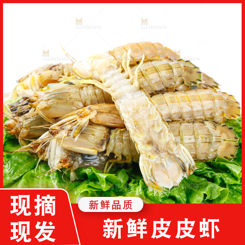 白底上的濑尿虾