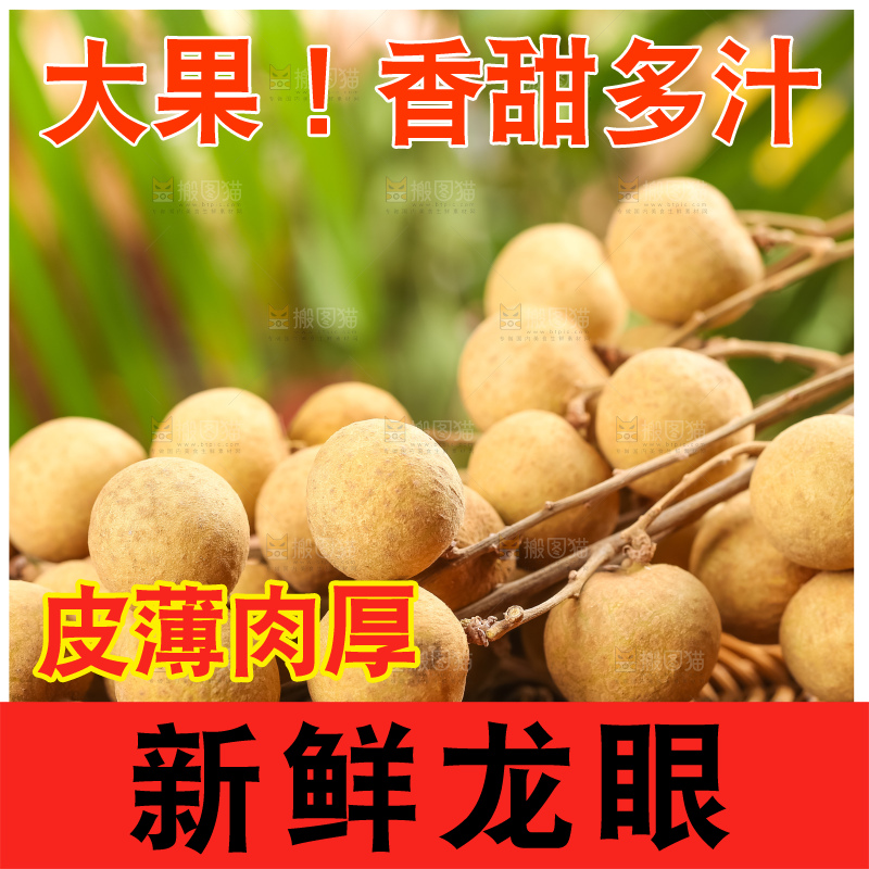 篮子里装着南平龙眼