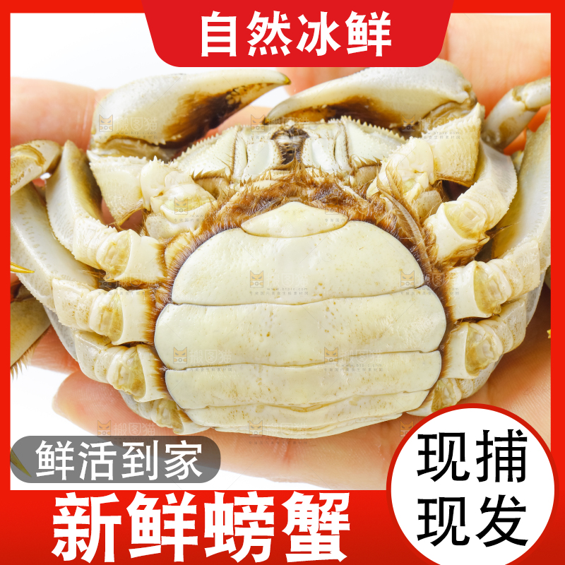 手里拿着鲜活螃蟹