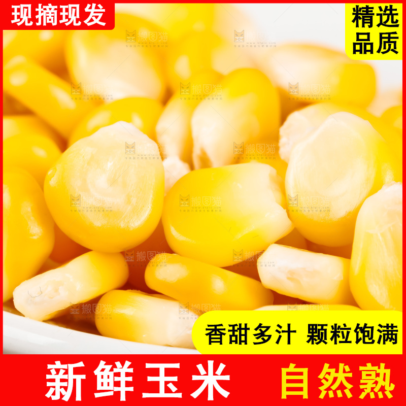 深底上的东北玉米