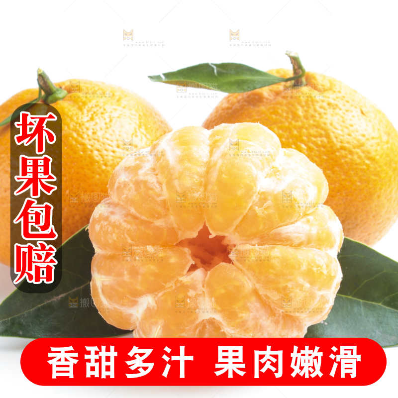 白底上的椪柑橘
