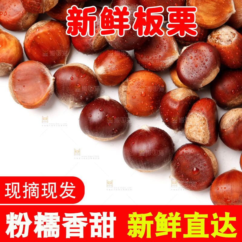 白底上的新鲜栗子