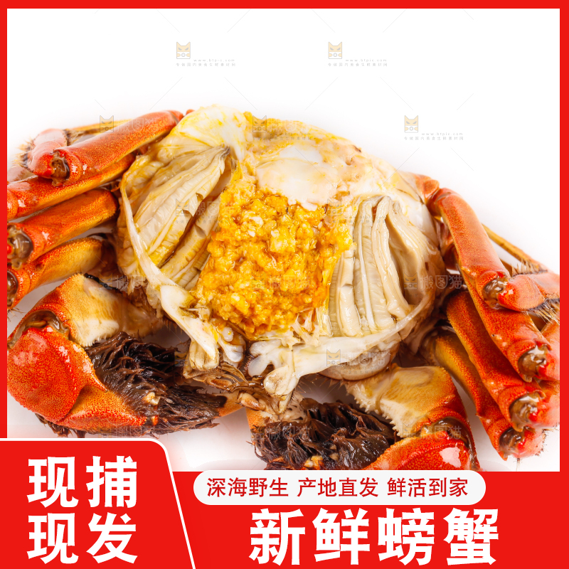 白底上的大闸蟹