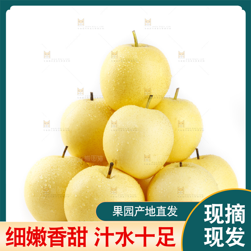 白底上放着河北皇冠梨