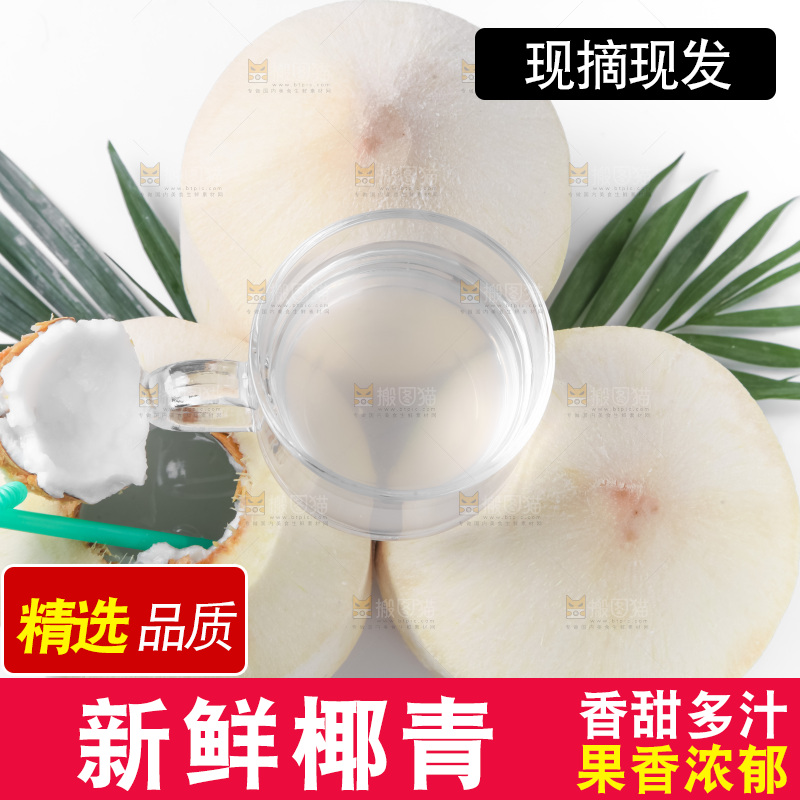 白底上青椰子