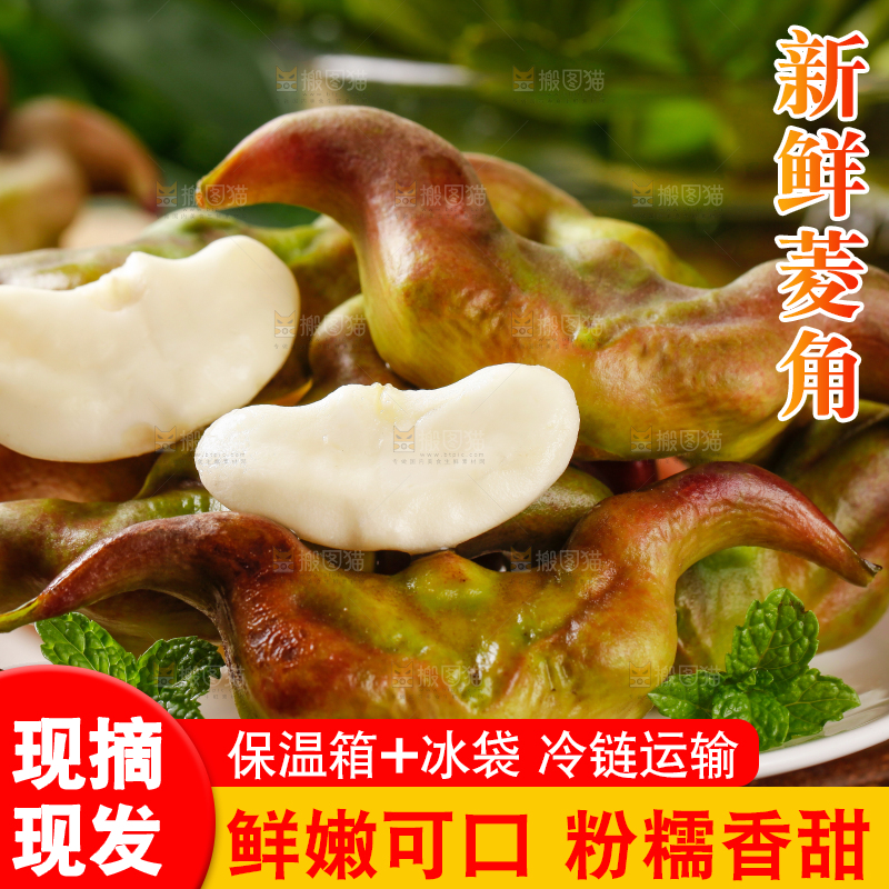 盘子里洪湖菱角