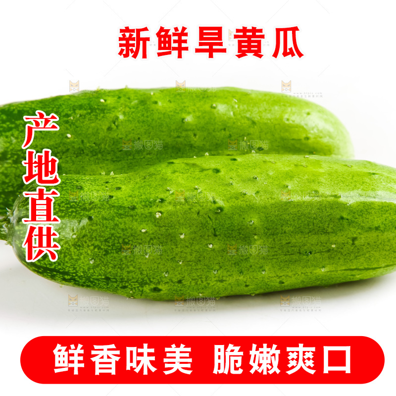 白底上的小黄瓜
