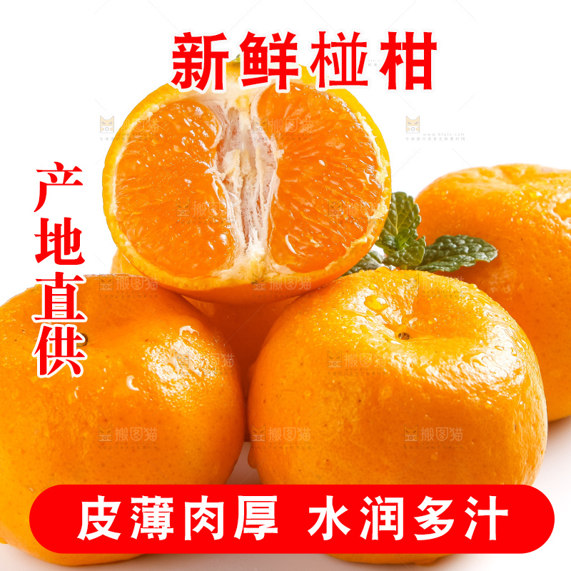 白底上摆放着椪柑橘