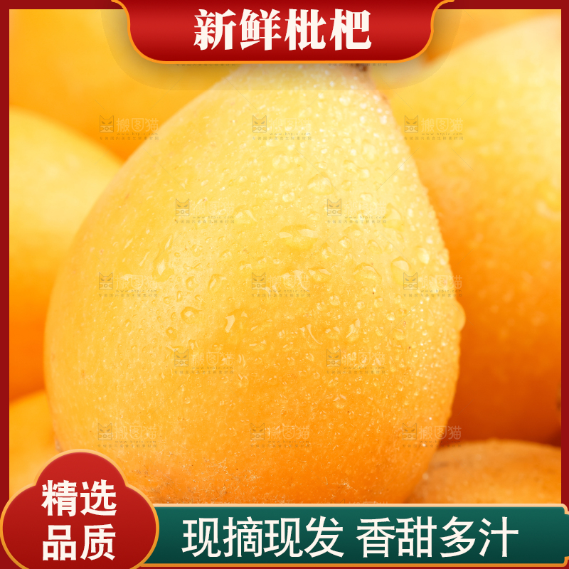 白底上放着攀枝花米易枇杷