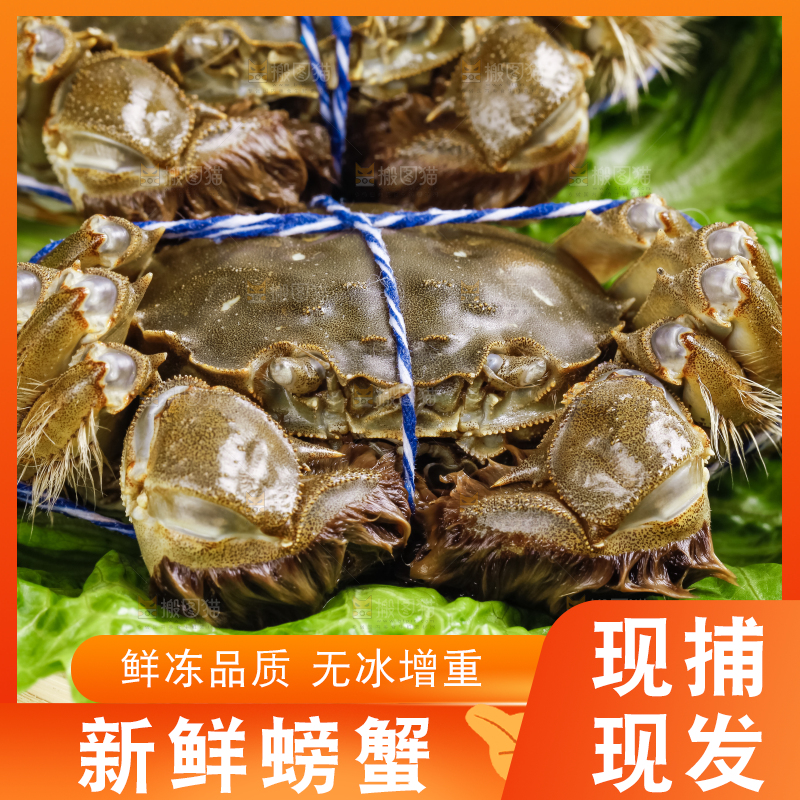 蒸笼里装着大闸蟹