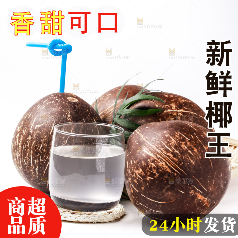 白底上摆放着老椰子