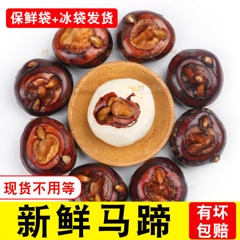白底上放着广西马蹄