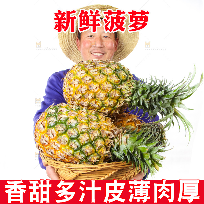 农民手里拿着香水菠萝