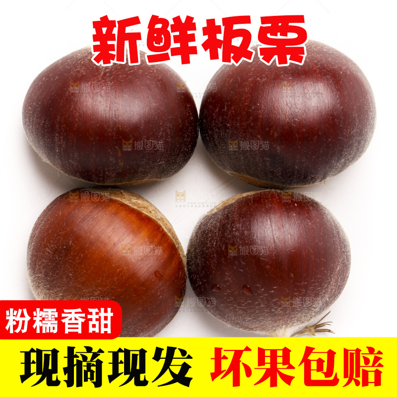白底上的新鲜板栗