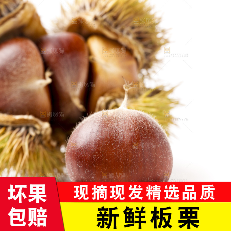 白底上放着迁西板栗