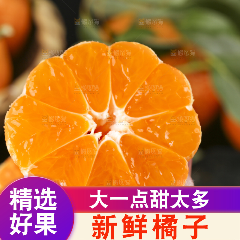手里拿着新鲜椪柑