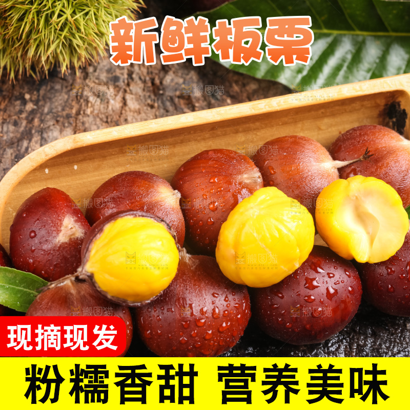 深底上的迁西板栗