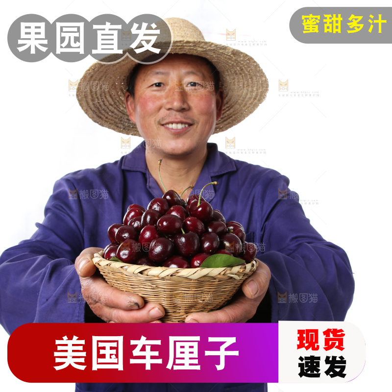 篮子里装着智利车厘子