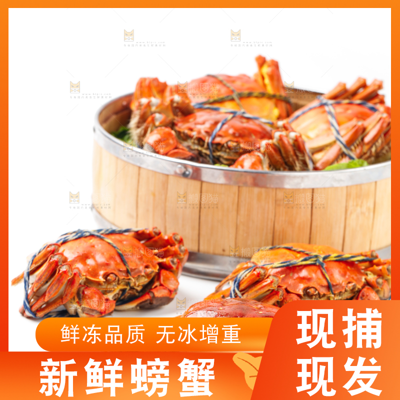 浅底上摆放着熟螃蟹