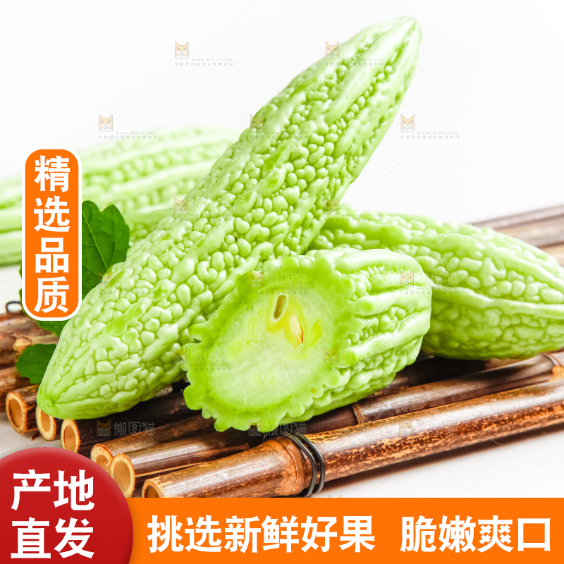 竹底上的长苦瓜