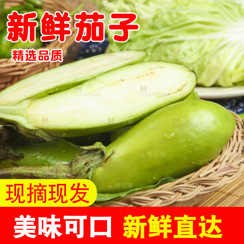 篮子里装着青皮茄子