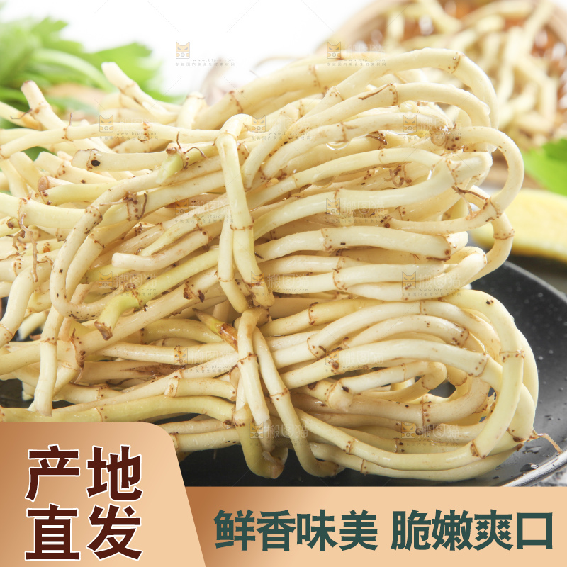 石板上的鱼腥草