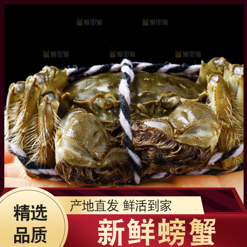 手里拿着鲜活螃蟹