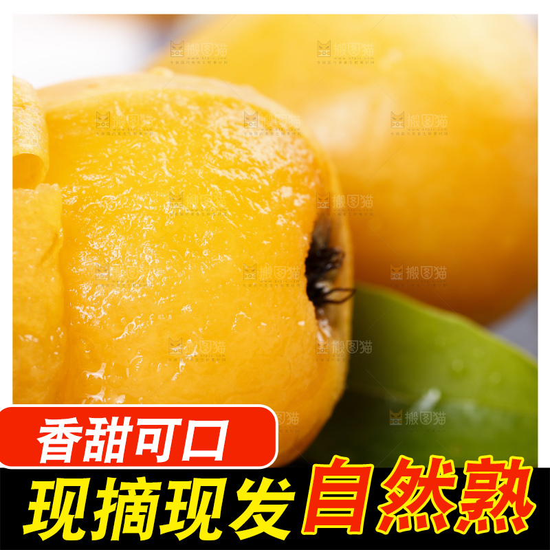 石板上的云南蒙自枇杷
