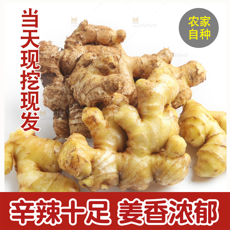 白底上摆放着云南小黄姜