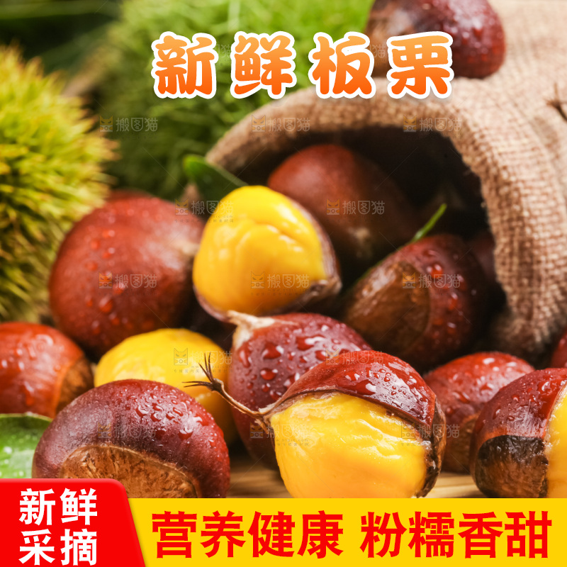 深底上的迁西板栗