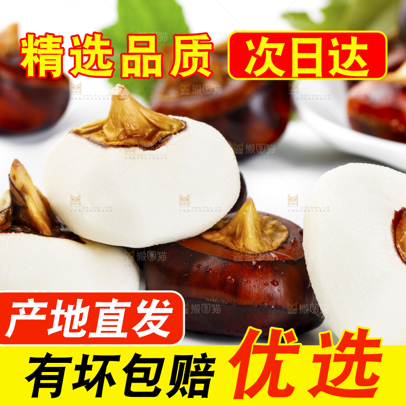 白底上放着广西马蹄