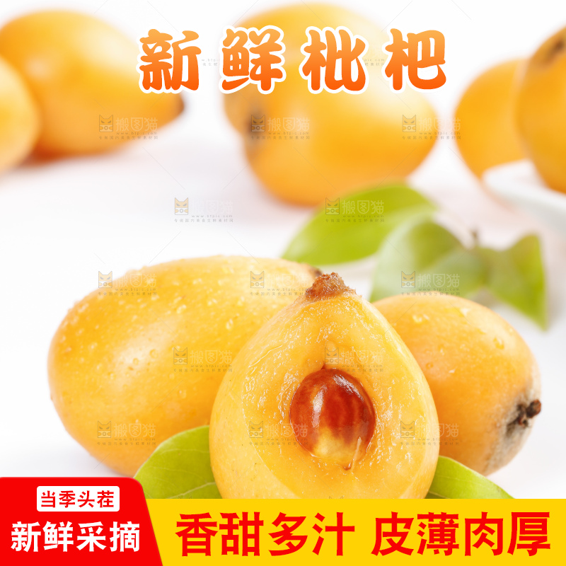 白底上的米易枇杷