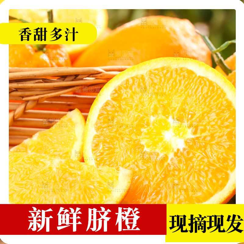 篮子里装着长虹脐橙