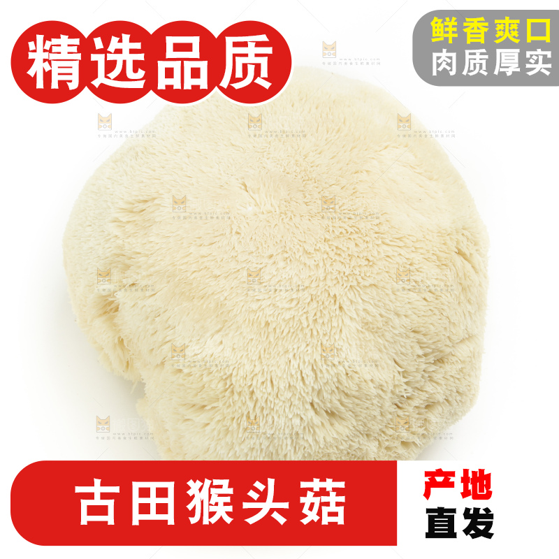 盘子里装着新鲜猴头菇