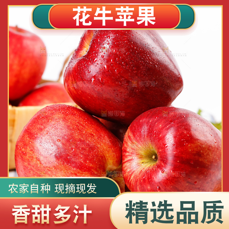 木底上的天水花牛苹果