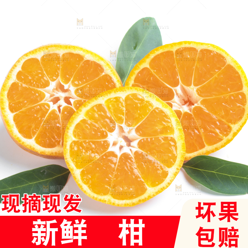 白底上的椪柑