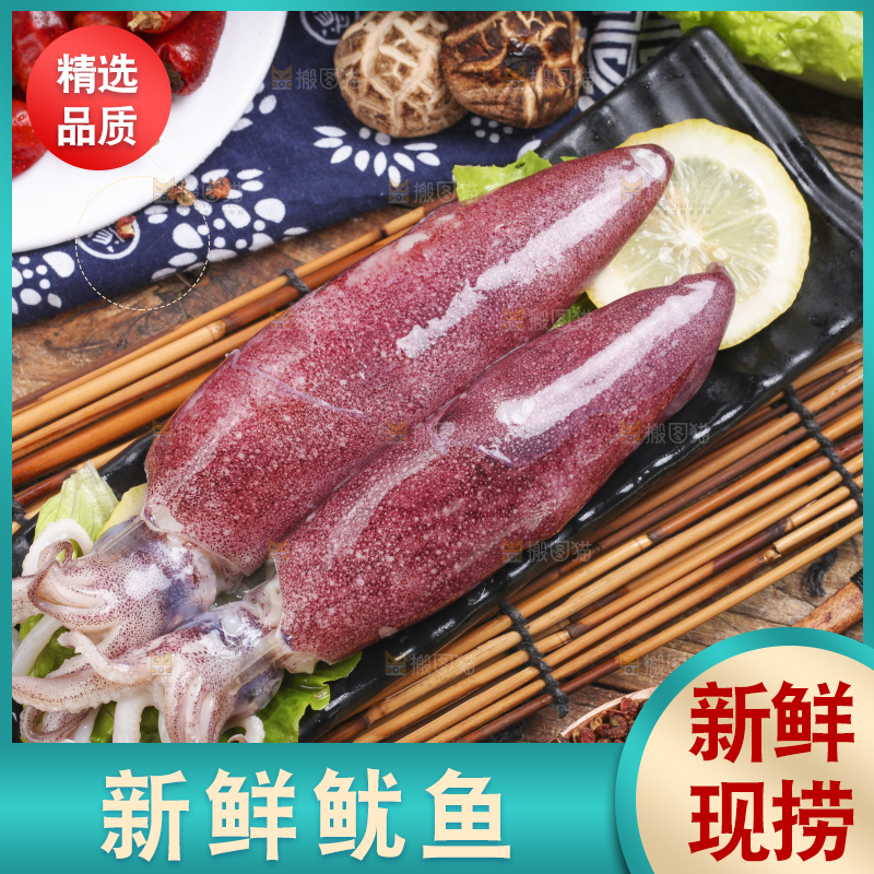 竹底上的生鲜鱿鱼